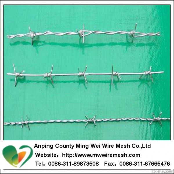 china hot dipped galvanized barbed wire