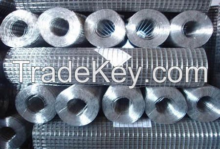 hot sale  Gavanized welded wire mesh