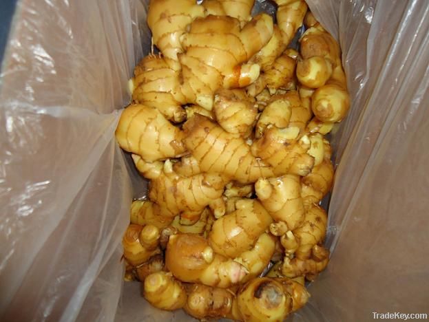 Fresh ginger in carton