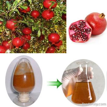 Pomegranate Seed Extract