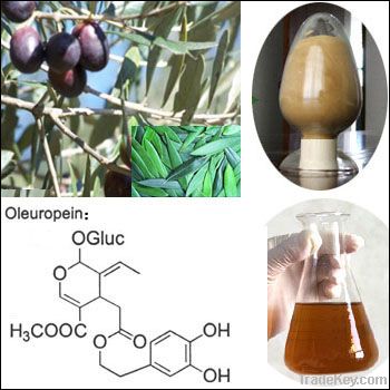 Olive Leaf Extract