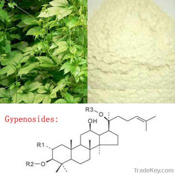 Gynostemma Extract