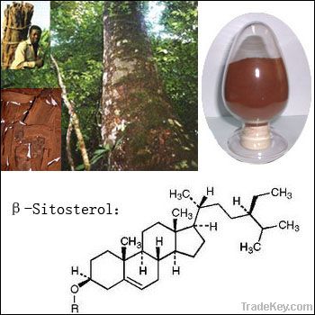 Pygeum Bark Extract