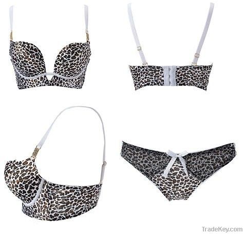 Leopard Pattern Bra Set