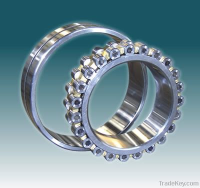 Double Row Cylindrical Roller Bearings