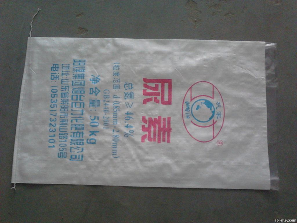 PP bag with inner liner