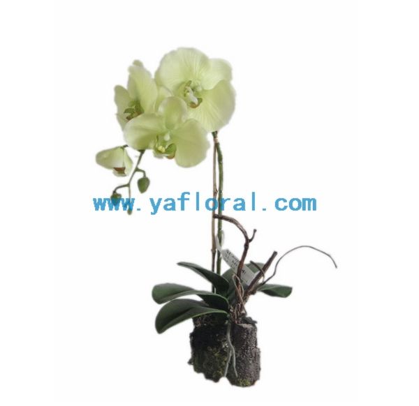 artificial flower phalaenopsis arrangement