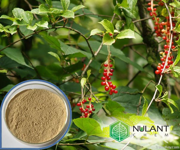 Schisandra Berry Extract 2% Schisandrins