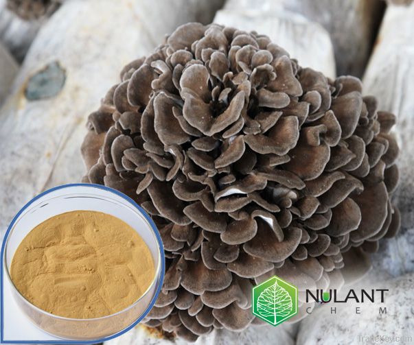 Maitake Mushroom extract