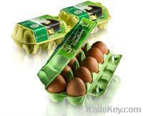 egg tray making machine