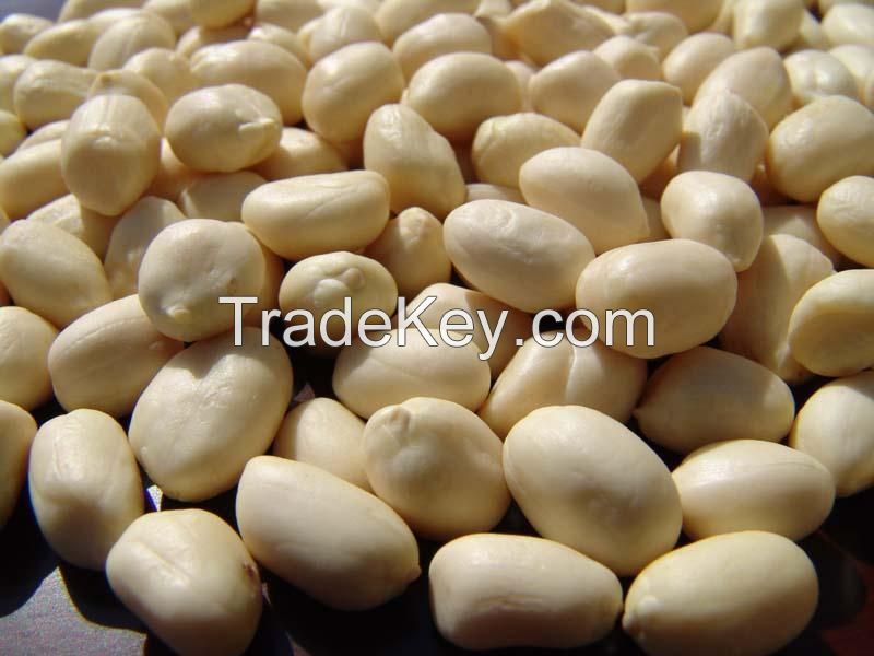 peanuts krenal.shandong peanut,red peanut in shell