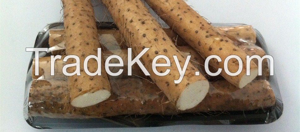 chinese yam, yam, chinese fresh yam