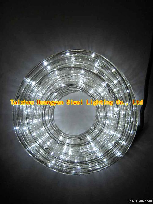 LED Rope Light ( White )