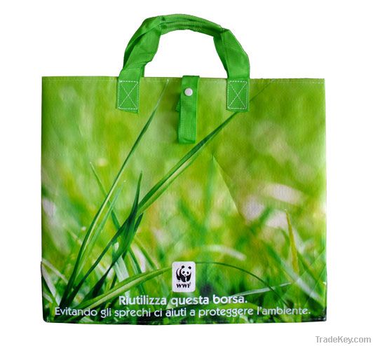 PP Woven Shopping bag