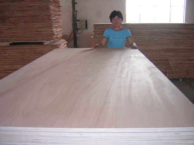 6.5-30mm commmercial plywood