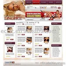 Professional Ecommerce Website Design and Development