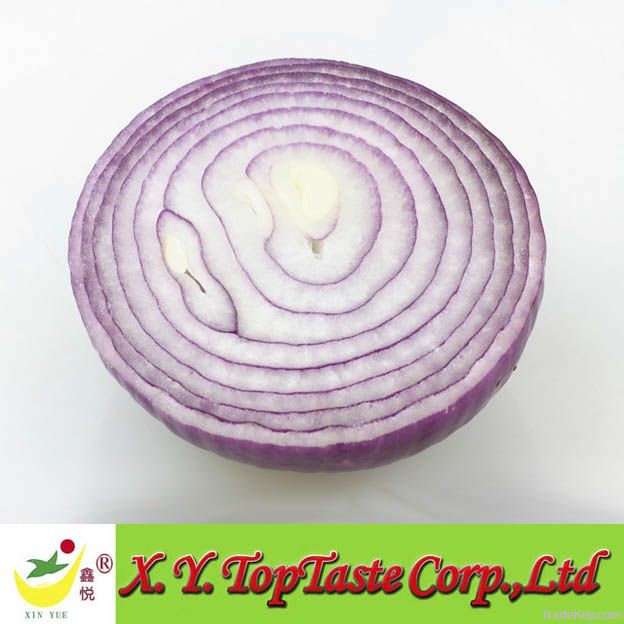 Chinese fresh onion, red onion, yellow onion fresh