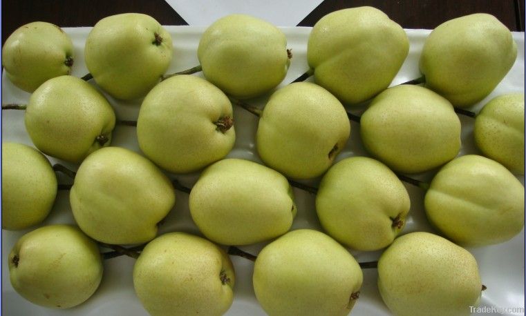 Su Pear