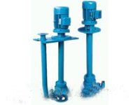 Vertical Hollow Shaft Motor for deep well pump