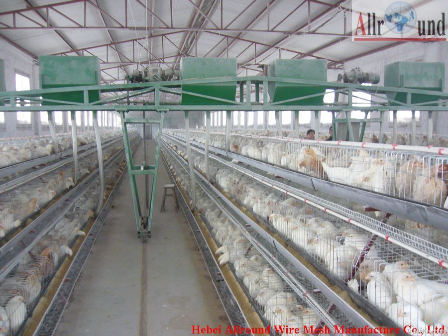 Poultry egg layer cage