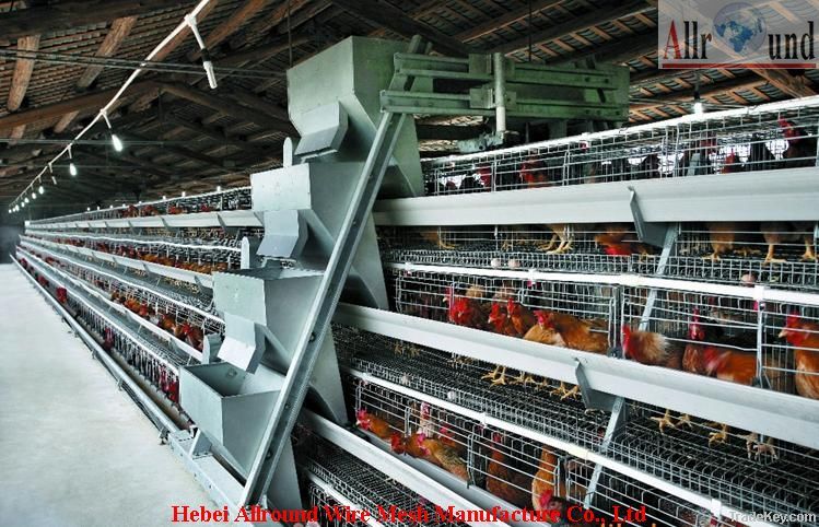 Battery chicken layer cage