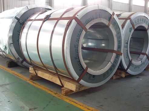 Galvanized Steel Coil