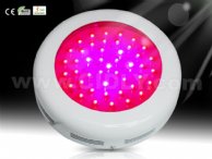 45*3W LED Grow Lights 45*3W LED Grow Lights 45*3W LED Grow Lights