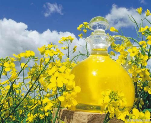 Rapeseed oil