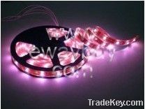 Waterproof 3528 TOP LED Flexible Strip Light (120LED/Roll)