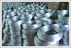 Galvanized Wire