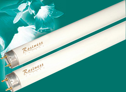 Fluorescent Tube