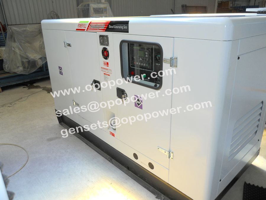 8/10/15/20/25/30/100/150/200KW/KVA LPG/natural gas generator