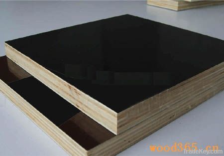 Black Film Faced Plywood 18MM