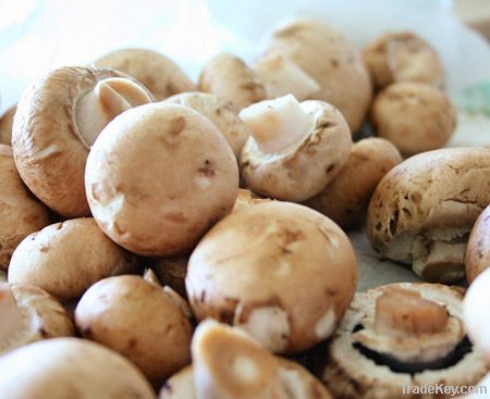 Meadow Mushrooms Thinly Sliced with Oil, Garlic &amp; Parsley