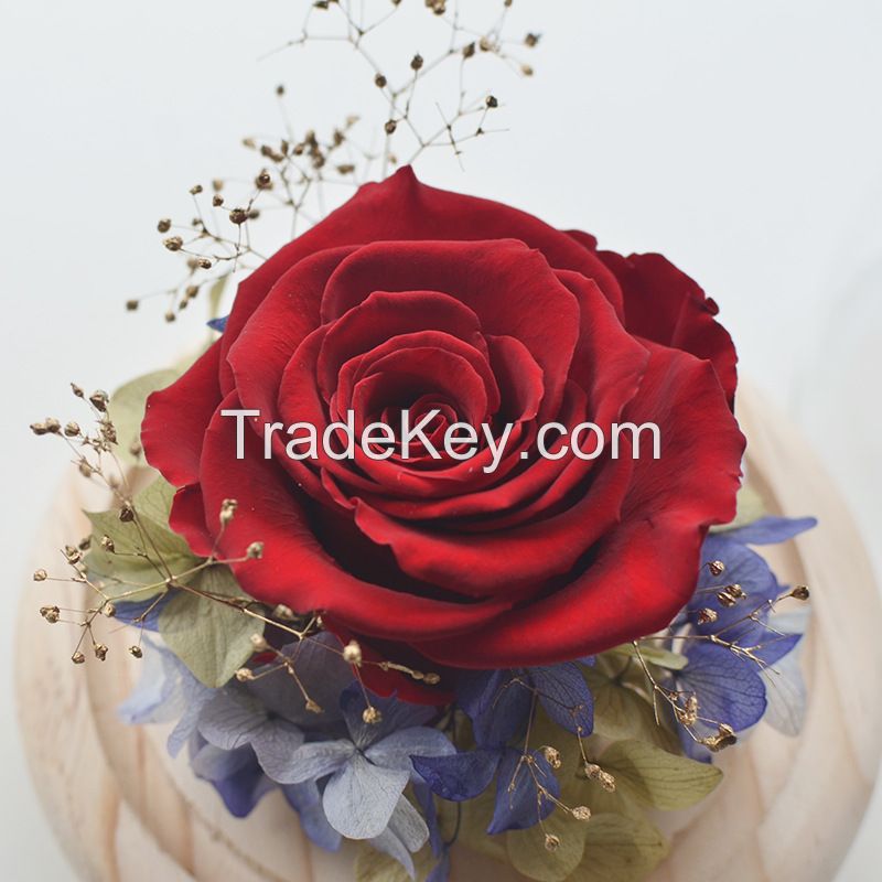 Single Preserved Rose glass gift box for Teacher