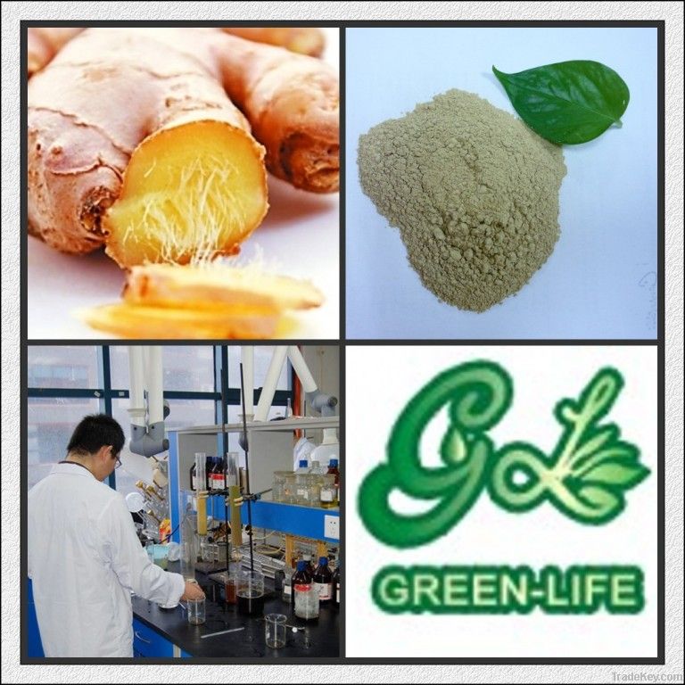 Gingerol 2%-10% Ginger Root Extract Powder P.E.