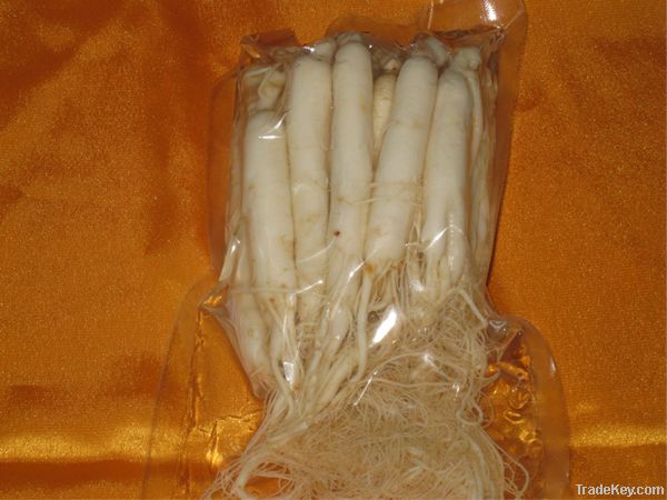 Preserved Fresh Ginseng