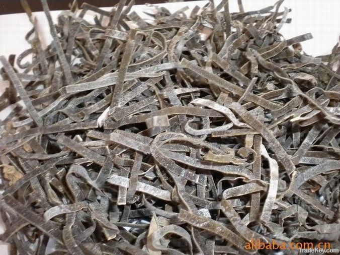 cut dried kelp