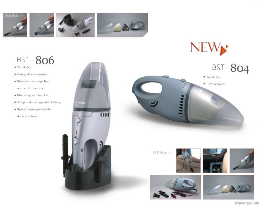 Wet and dry car vacuum cleaner