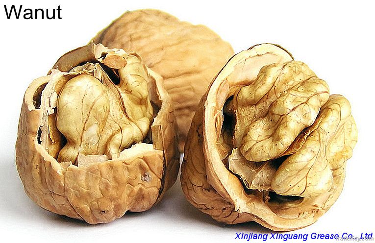 Raw Walnuts