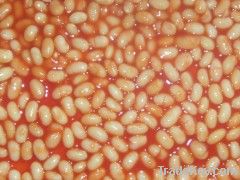 Canned White Kidney Beans in Tomato Sauce