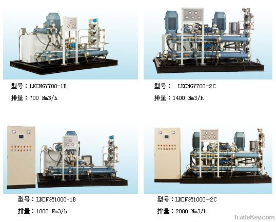 CNG compressor with capacity of 1000