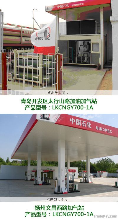 CNG Compressor