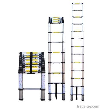 TELESCOPIC LADDER