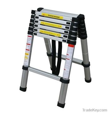 Double telescopic ladder