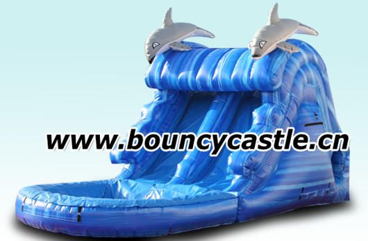 Double Lane Blue Water Slide With Cute Dolphin