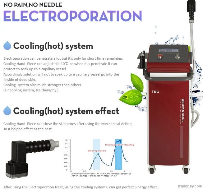 Electroporation Machine