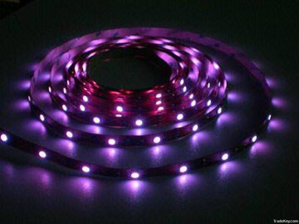 LED strip PS360 (SMD3528 60LEDs/m)