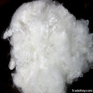 regenerated polyester staple fiber