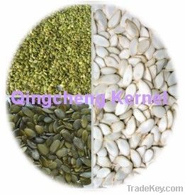 in shell shine shin%snow white pumpkin seed